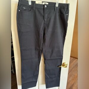 Jachs Girlfriend Black Ankle Pants